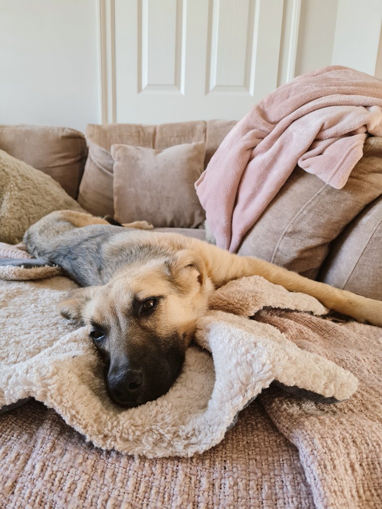 Katie Millar tweet media