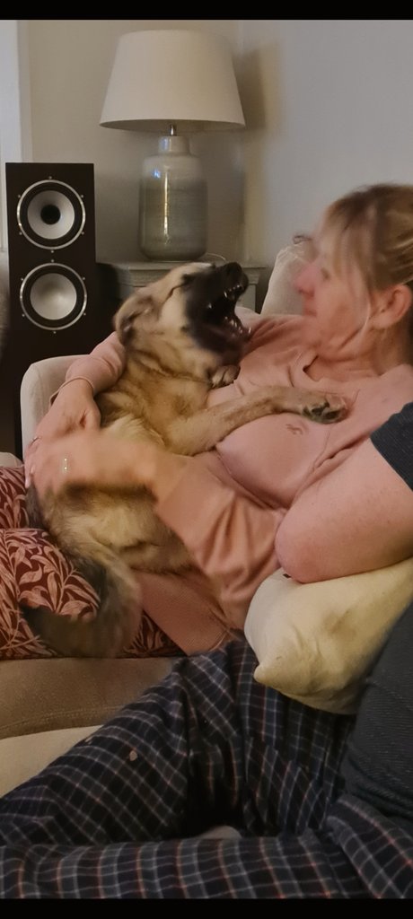 Katie Millar tweet media