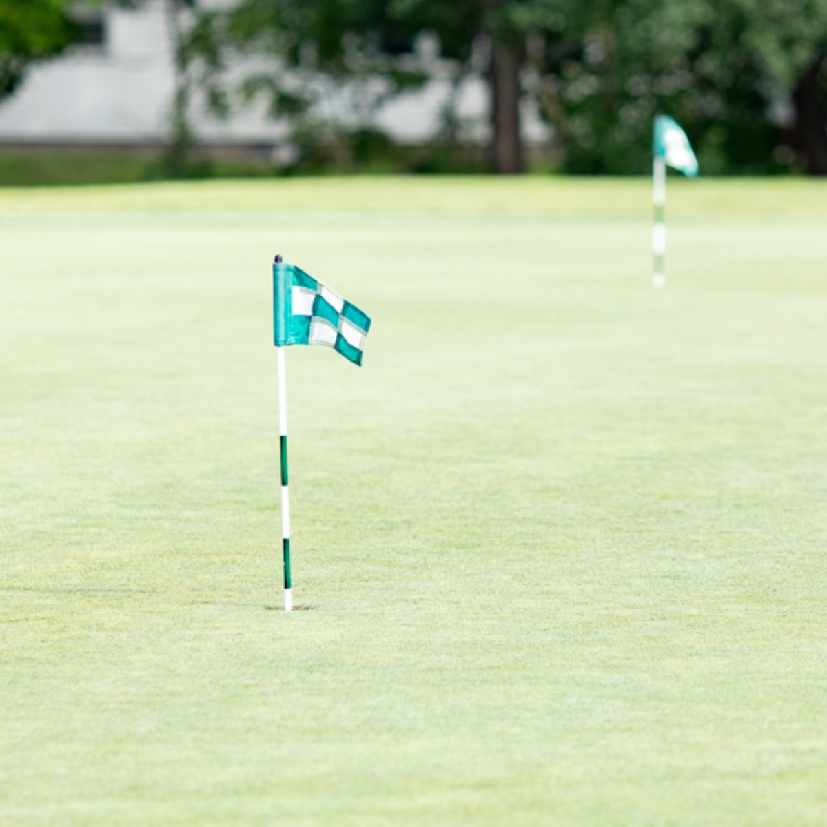fairwayshalf's tweet photo. Whether you come here once or once a week, we just want you to know how much we appreciate everybody that golfs here. https://t.co/o0J6xV9GpR