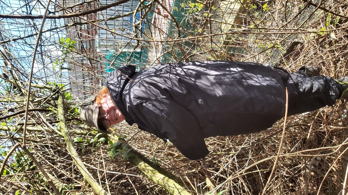 local_plot's tweet image. Lovely to see Rosemary from Elizabethan Ladies back to Greenfingers today. Great work Marianne helping me tidy back the overgrown hedges.
@smalmarg2012 @pathelen10