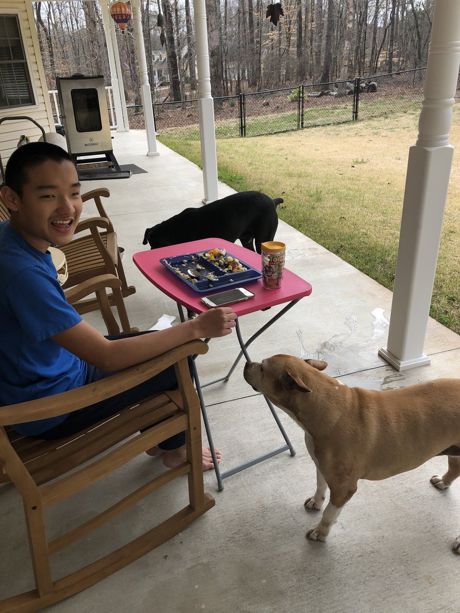 k9kayaks's tweet photo. When you’ve been sick all week but the sun is out and it’s 75° then you eat outside with your #Furbabies 
#Boxadorable
#Boxador
#BigMoose
#MaxSmiles
#IttBittyPitty https://t.co/7lmtolVBnt