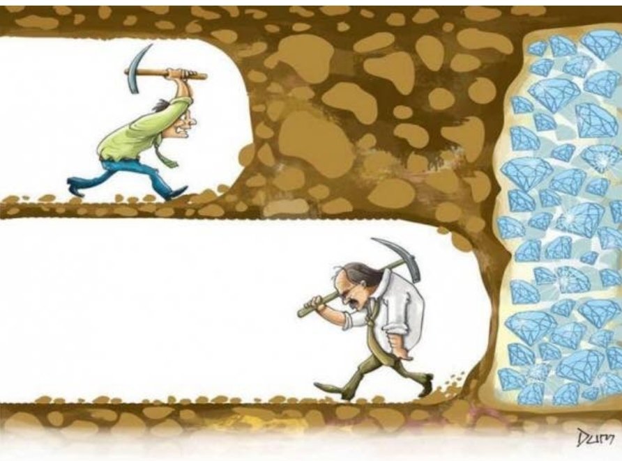 BlockDuelers tweet media