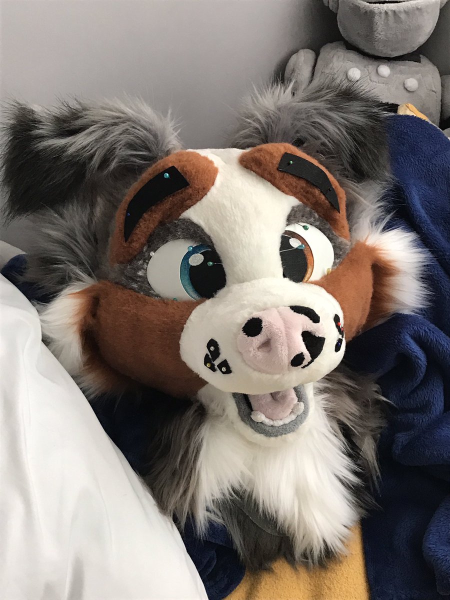 searathewolf's tweet photo. Current projects https://t.co/dKfZc0BwfS