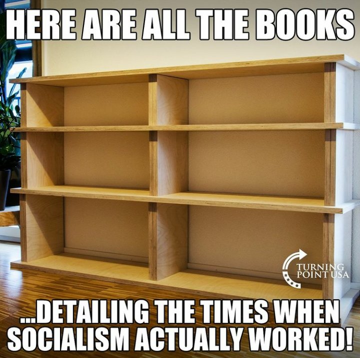 JLynnVee's tweet photo. @catturd2 #AMERICANEEDSAMERICANS https://t.co/vm83z4ge4d