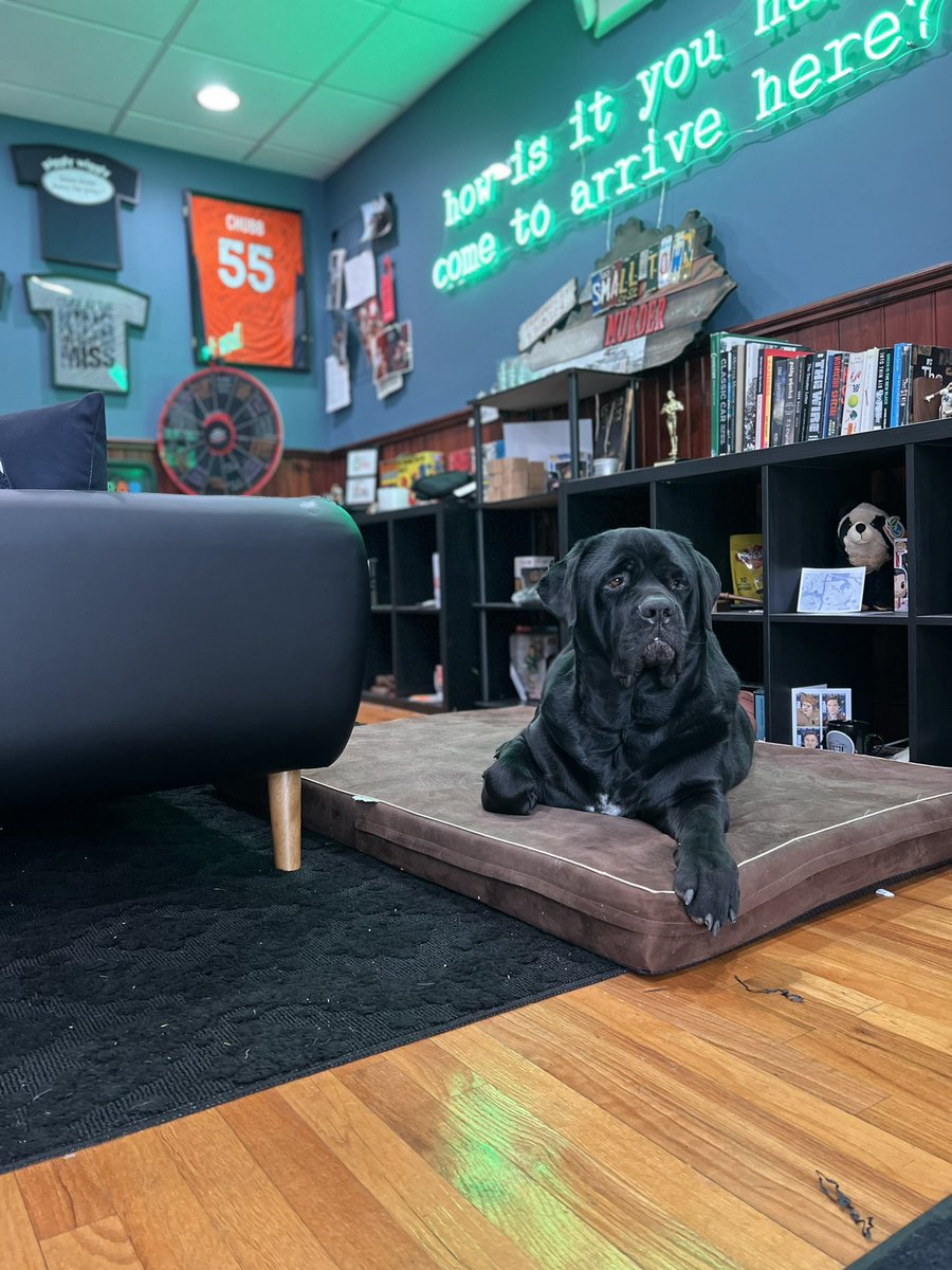 MurderSmall's tweet photo. Sunday vibes 😎🐶 https://t.co/RvJyJhiFac