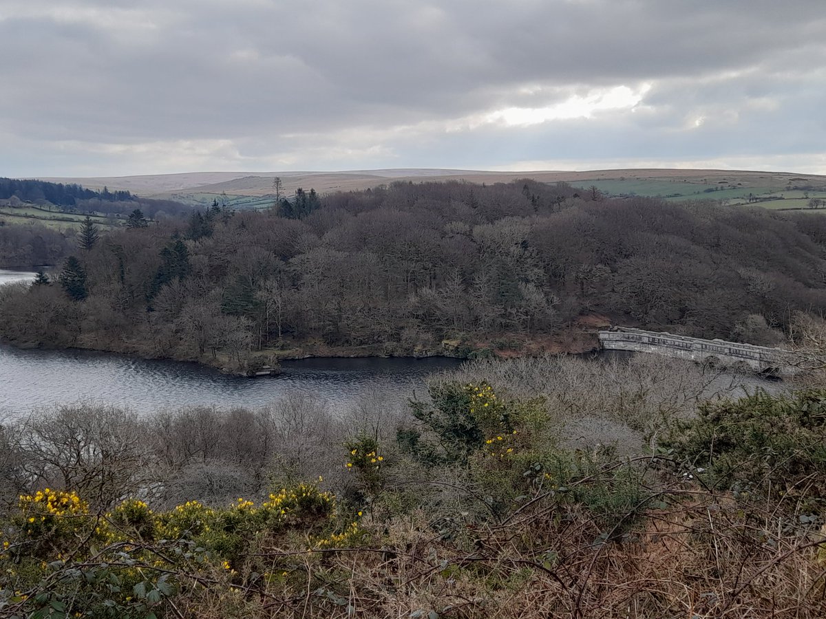 thebluehaystack's tweet photo. Stunning views looking back to #Burratorreservoir walking on Dartmoor #Devoncountryside https://t.co/HSZrDgoDKP