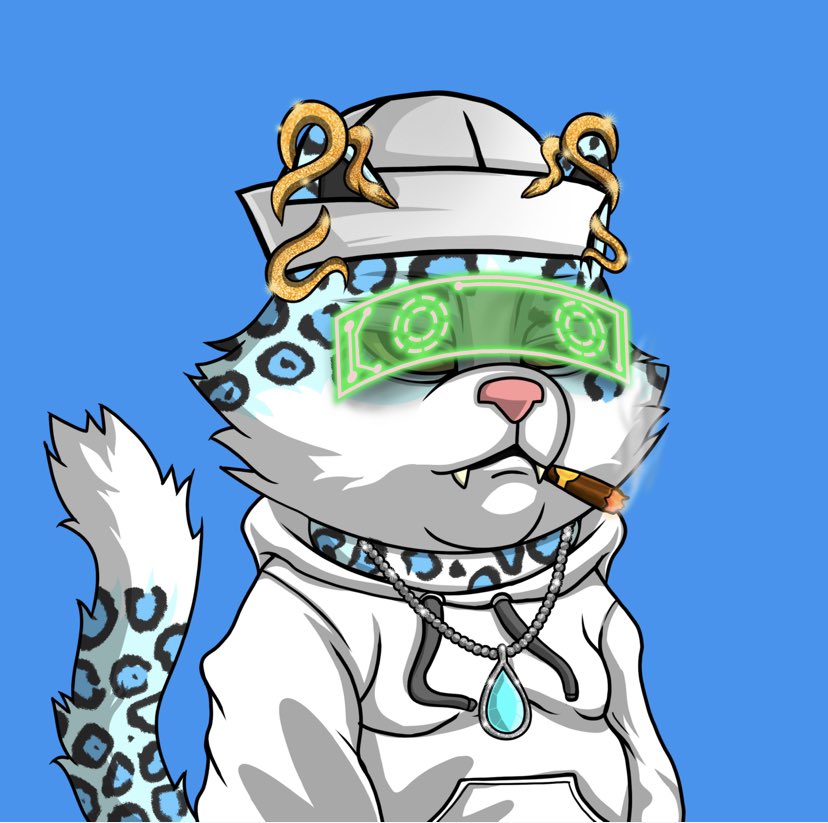 hansolomojo's tweet photo. @Catcoinbsc My boy needs a friend!! https://t.co/XdpJMC9kwp