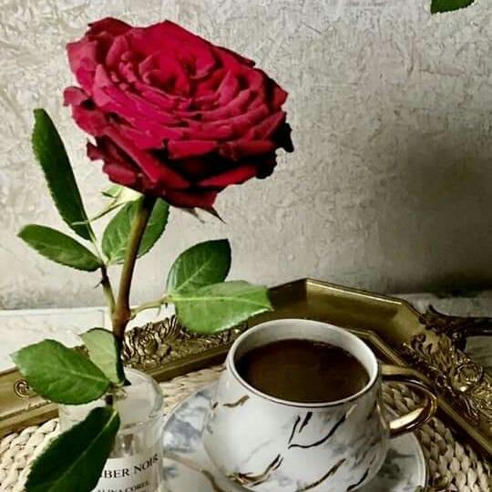 #صورة_ملف_شخصي_جديدة