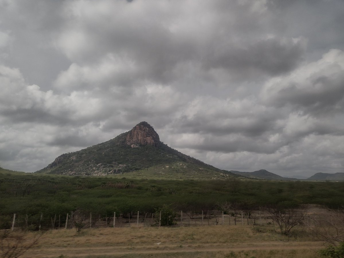 CPrimatologico's tweet photo. Olá, primatas, tudo bem? Estou de volta ao trabalho de campo. Vou ficar um mês trabalhando em minha pesquisa no Parque Nacional de Ubajara - Ceará. Vou atualizando vocês por aqui! Abraços.
#capcult #primatologia #trabalhodecampo https://t.co/ISoLy87OGp