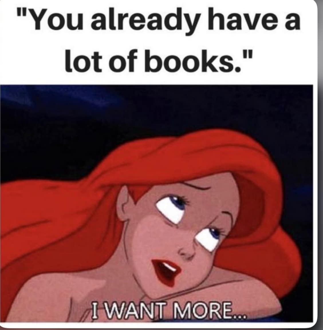 MyBookCushion's tweet photo. 🎵🎶 I want more.... 🎵🎶

Who else heard Ariel singing? 🤣📚🙈

#amreading #reading #books #amwriting #booklove #bookworm https://t.co/4CMbLeaZOS
