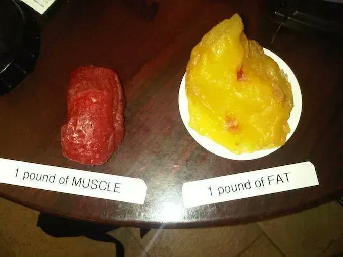 Does #Muscle Weigh More Than #Fat? - bit.ly/2Bu357K