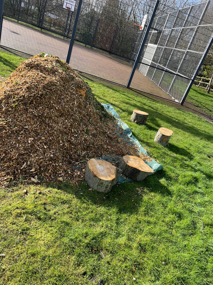 Those working in early years will know the feeling of joy experienced when seeing this being dropped off at your school! There are more log buried underneath and it’s free of charge too 🙌 #EYTagteam #eytalking #earlyyears #eyfs