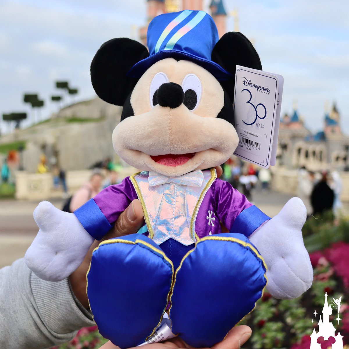 dlrpnc's tweet photo. [LIVE]

Some items from the 30th anniversary merch are available at Flora's Unique Boutique, the other collections will arrive gradually in the coming weeks. 🛍✨ 3️⃣0️⃣✨🏰
#disney #DisneylandParis
 #DisneyPlus #Disneyland https://t.co/QGNXHqvdYS