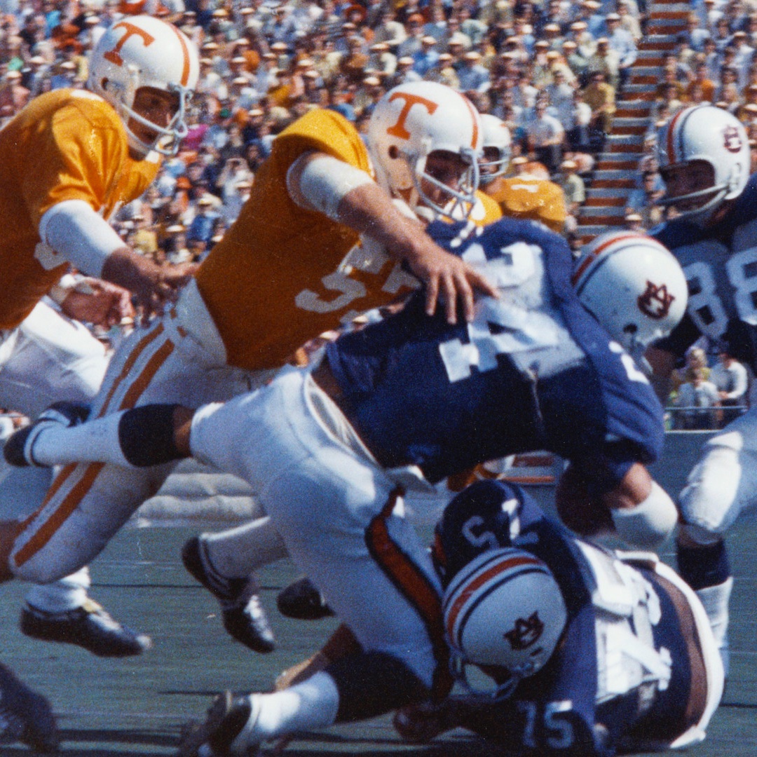 Prep2ProDB tweet media