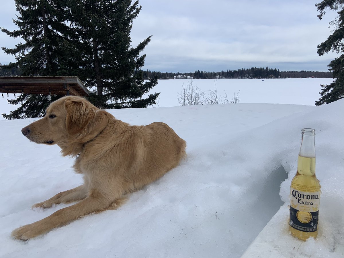 Self-Care Sunday ♥️ Enjoying the view, and my dogs love for sticks haha #pg #nesslake #selfcare