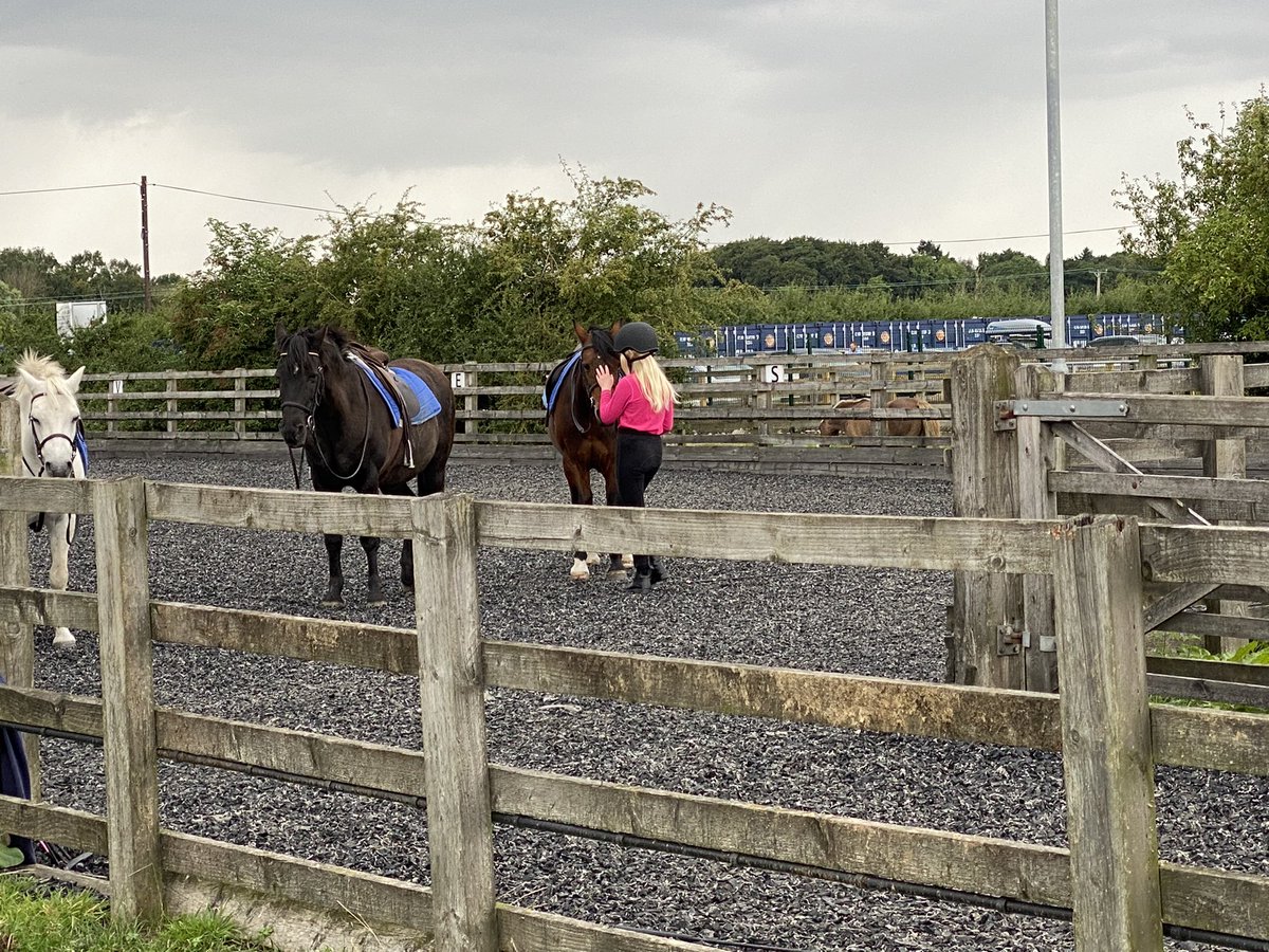 Marlea210910's tweet photo. I found these old pictures of me riding Tbh I don’t know what to say o.o https://t.co/7E1T94h4P8