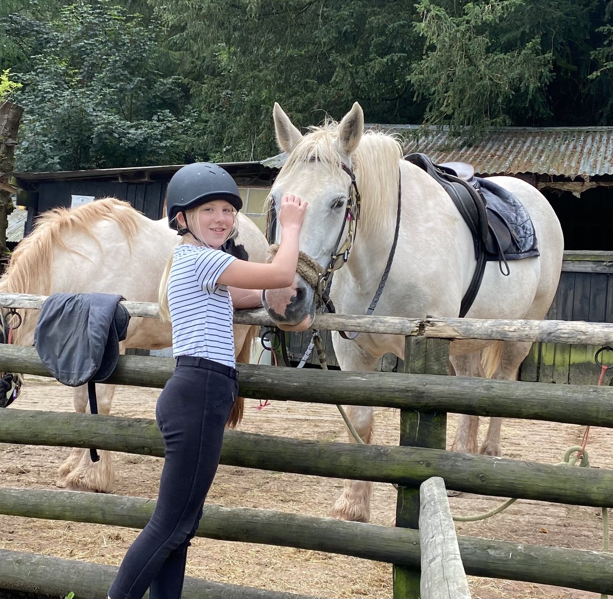 Marlea210910's tweet photo. I found these old pictures of me riding Tbh I don’t know what to say o.o https://t.co/7E1T94h4P8