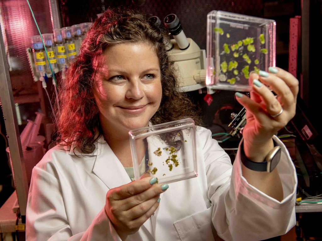 Waite Research Institute (@waiteresearch) on Twitter photo <a href="/Jenny_Mortimer1/">Dr Jenny Mortimer</a> Duckweed is on the menu for the trip to Mars ๐ฆ๐ฑ @UniAdelSciences <a href="/UniofAdelaide/">Uni of Adelaide</a> <a href="/plants4space/">@Plants4Space</a>
adelaidenow.com.au/education-soutโฆ <a href="/Jenny_Mortimer1/">Dr Jenny Mortimer</a> Duckweed is on the menu for the trip to Mars ๐ฆ๐ฑ @UniAdelSciences <a href="/UniofAdelaide/">Uni of Adelaide</a> <a href="/plants4space/">@Plants4Space</a>
adelaidenow.com.au/education-soutโฆ
