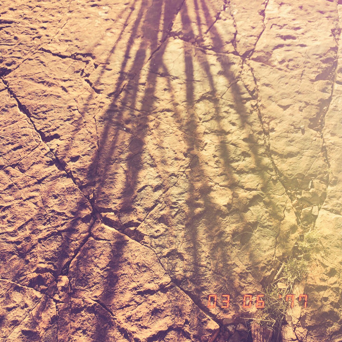 Chasing Light (@artificiallense) on Twitter photo 