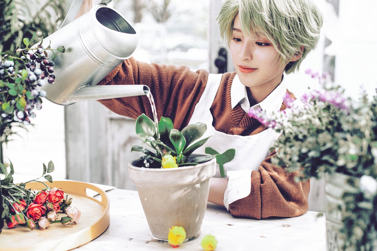 CRKingdomEN's tweet photo. Hoo hoo! 🪴 Spring is almost here! 

️⭐️ Cosplay by:
#HerbCookie : @nnsor__ 
Photography: @charara_p 

Tag us @CRKingdomEN to be featured! https://t.co/JXAxI9zqfY