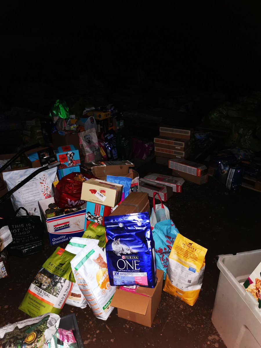 #dogbus memories,Kris & the Team tweet media