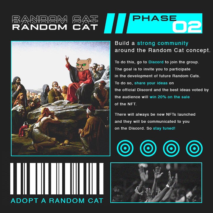 Random Cat tweet media