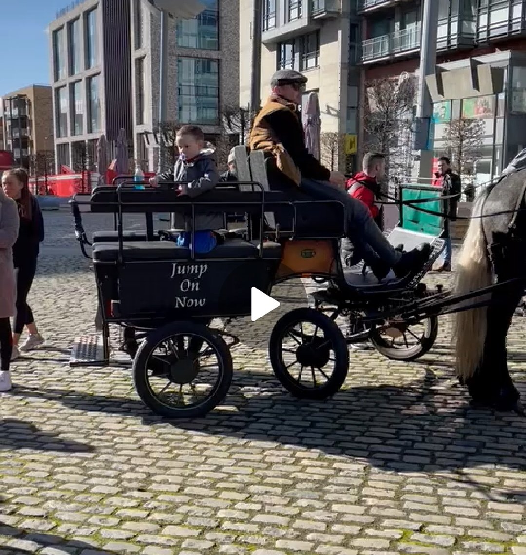 Great to see #SmithfieldHorseFair today making a comeback. It's the people who decide. 

Council's have no authority to interfere with the old Charters . 

Well done to you all. Thanks for sending your pics .