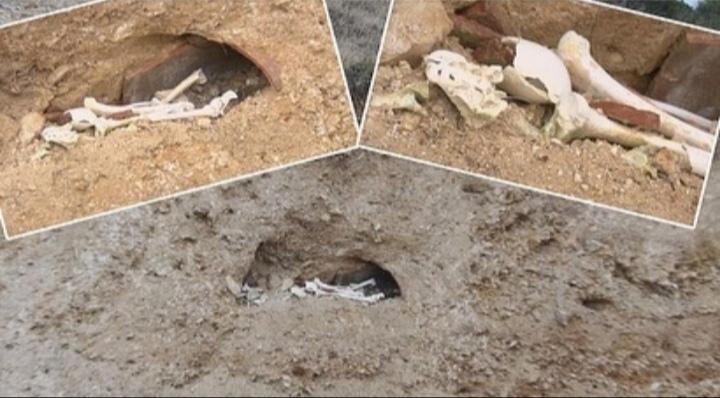 İstanbul'un Şile ilçesindeki yol çalışmaları sırasında Roma döneminden olduğu tahmin edilen 15'e yakın kiremit mezar bulundu.
Kaynak: DHA (02.03.2022)