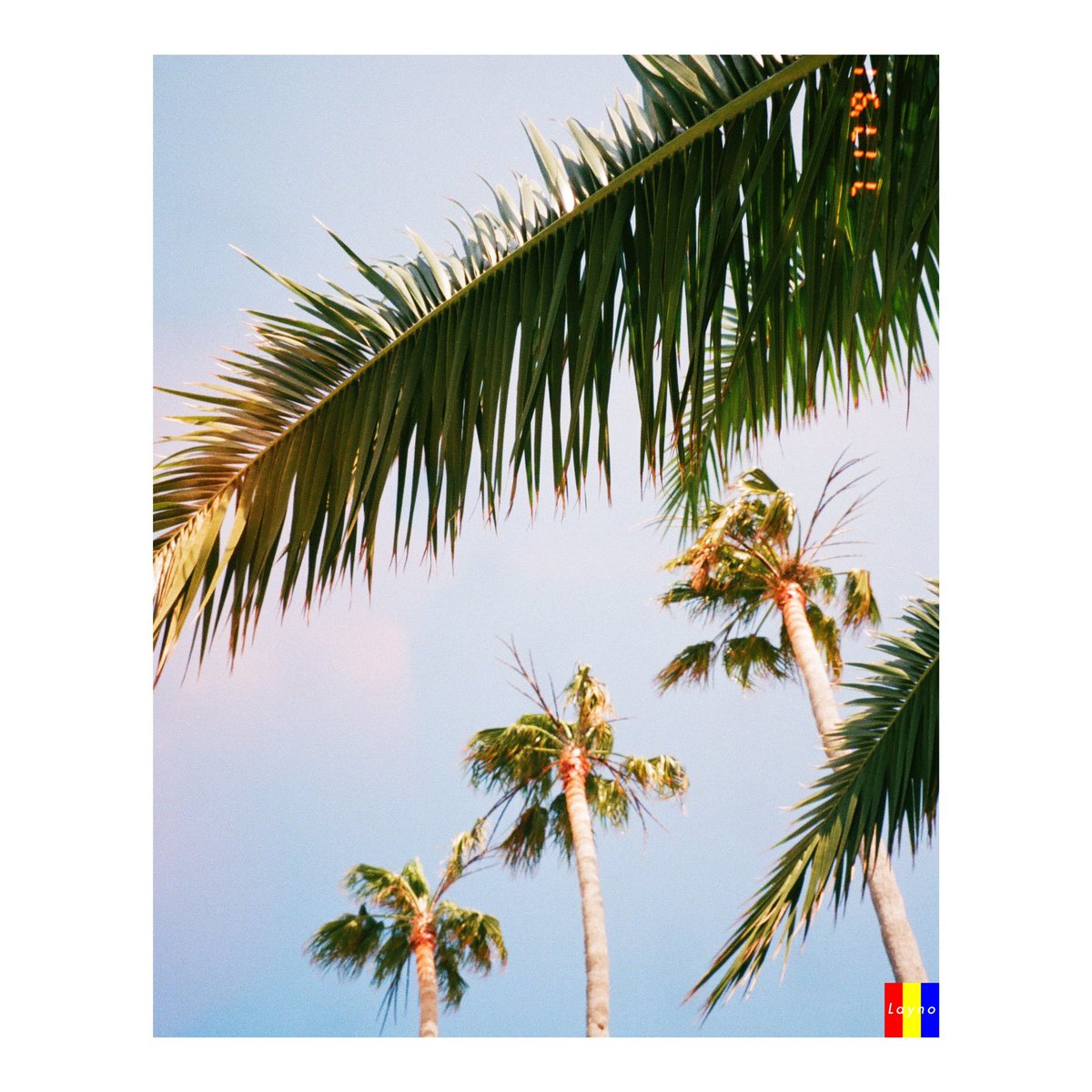 LaynoFilm's tweet image. Gm from Southern California #35mm #filmphotography #portra800