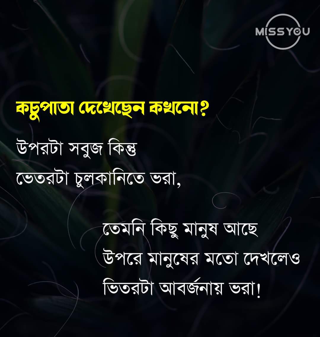 rayhanipun's tweet photo. #Rayhan___ https://t.co/lsXuCgbldn