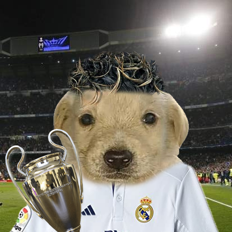 Ronaldoggo. Record-breaker. Noodle hair. Champions League Winner. Follow us for more sneak peeks!

One of the many 1/1's of our collection to help dog shelters 🐶🤎

"SIUUUU!"

#DegenDoggos #NFT #NFTCommunity #NFTGiveaway #NFTdrop #NFTs #NFTLaunch