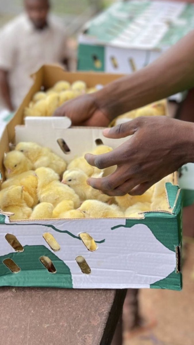 Get your farm input from us ⁦<a href="/smartjayagro/">Get your Day Old Chicks 🐣🐥🐥</a>⁩