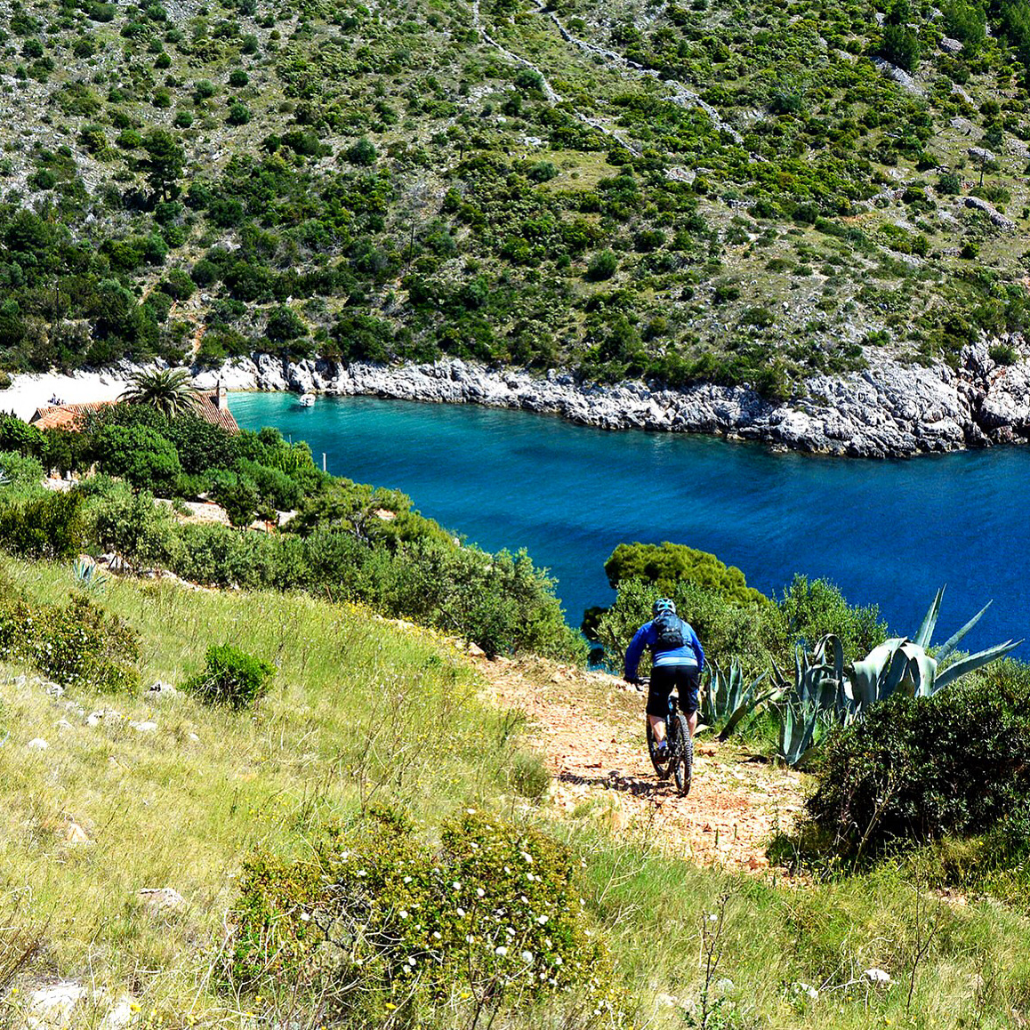 Mountain Biking Trans Croatia tour connects the Islands of the Adriatic region on the most beautiful single trails, gravel roads and well known stony paths 👌
bit.ly/3pJalDb

#transcroatia #Croatia #yourbikebase #mtbcroatia #biketours <a href="/Croatia_hr/">Croatia Full of life</a>