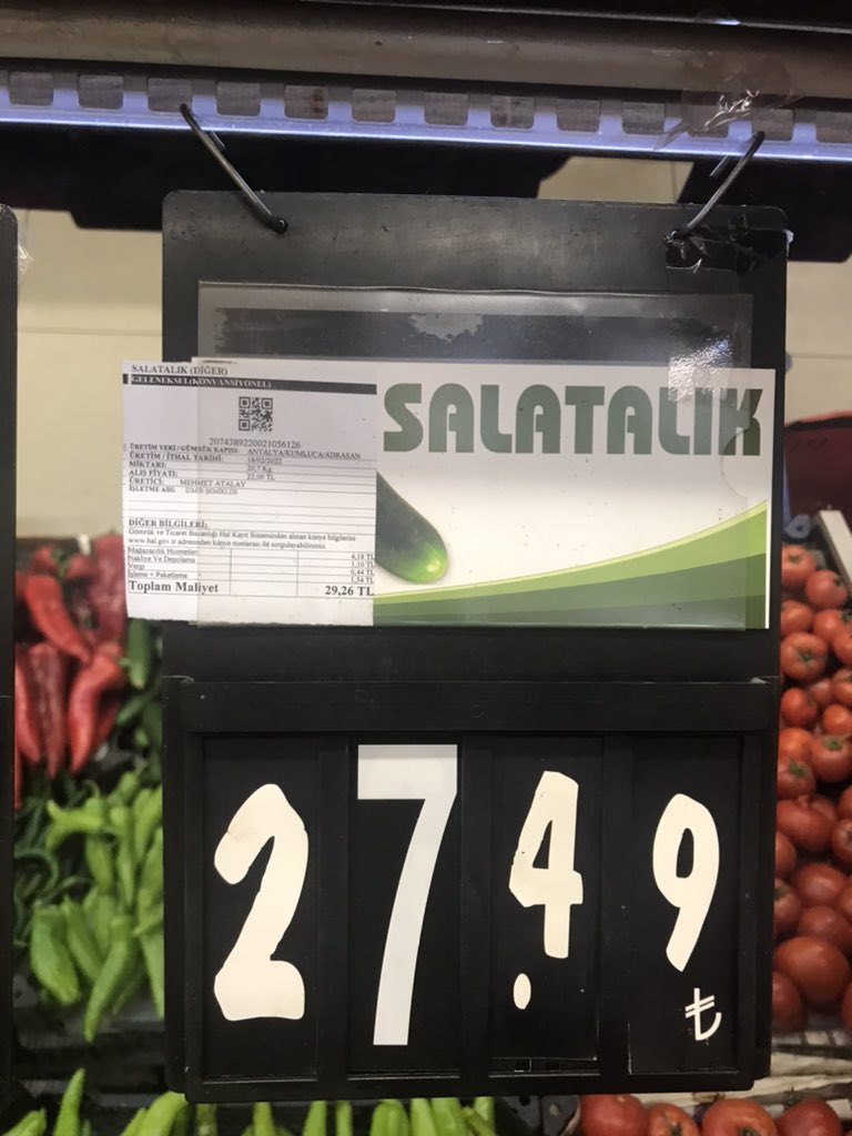 En basit sebze olan salatalık nasıl 27tl olabiliyor aklım almıyor. Millet salatalıktan bile mahrum kaldı.