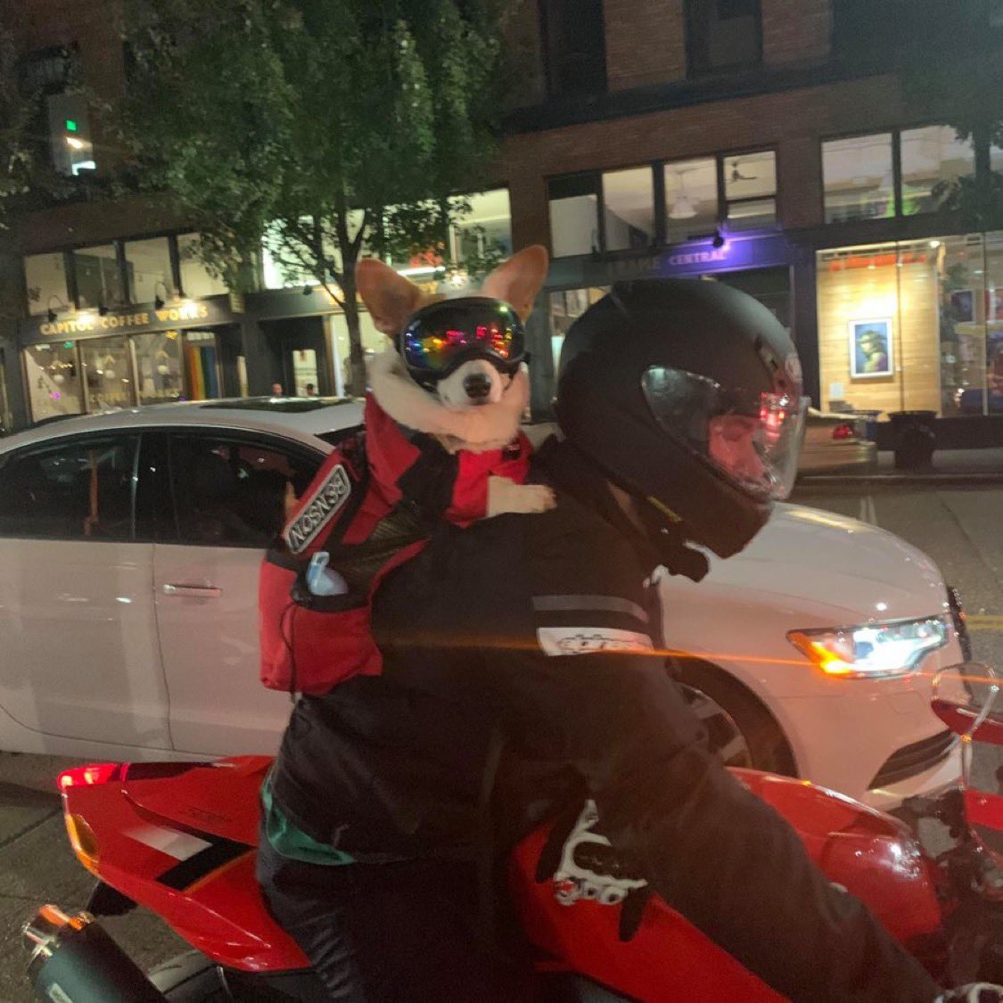 PAVGOD's tweet photo. he attac, he protec, but most importantly… he cool as h*cc https://t.co/4FCvsyxeCK