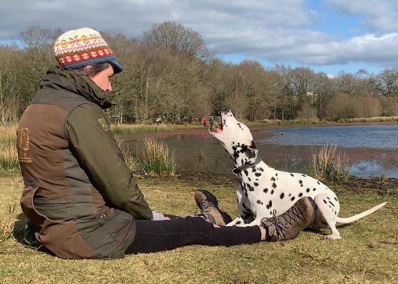Miniclick_'s tweet photo. Nooooo don’t eat the little people 🤣
#corathespottyone #dogsoftwitter #dogsofinstagram #Dalmatian #brownmoss #shropshirelife #shropshire https://t.co/HfoD9DWK8V