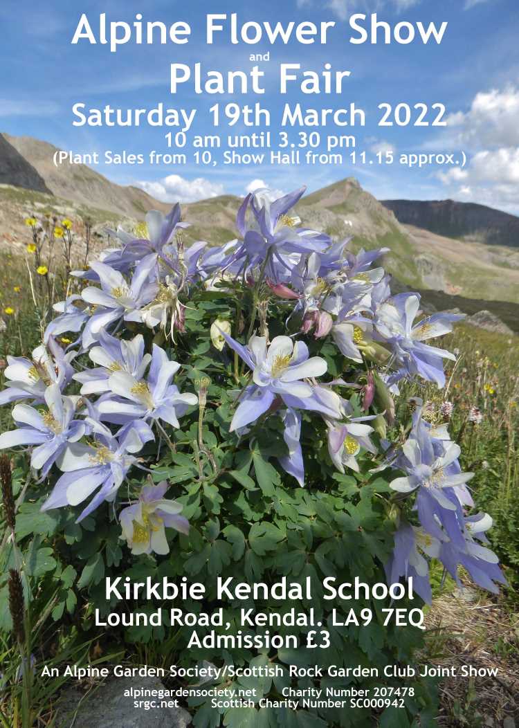 ScottishRockGC's tweet photo. Saturday 19th March 2022  Kendal Alpine Flower Show with @scottishrockgc  &amp; @AlpineGardenSoc -all welcome! 8 specialist nurseries expected-@PottertonRob @KevockGarden @HartsideNursery @tinnisburnplant @summerdalegn @primrosebank  @EdromNursery  Slacktop Nursery &amp; club plant sales https://t.co/QwvQPzoDAl