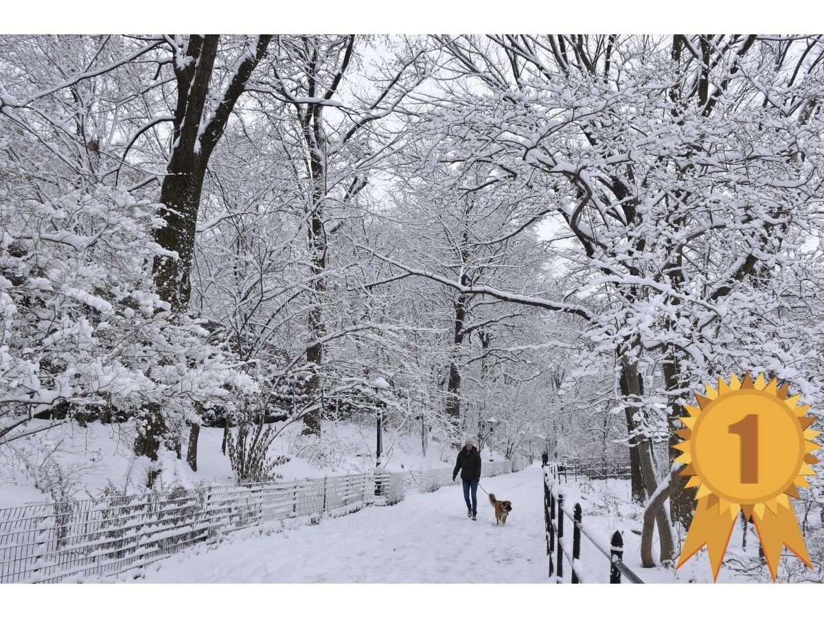 w111th's tweet photo. Congratulations to the winners of our #MorningsideLove photo contest.  We had over 50 submission and more than 1300 voters. 
Thank you to everyone who participated and congratulations to Shelley, Muneer, &amp; Liz! https://t.co/v50Aqlc2xu