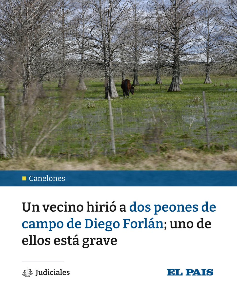 UruPorque's tweet photo. "Forlan"

Porque un hombre de 72 años hirió con un arma de fuego a dos empleados de un campo del futbolista Diego Forlán.

El agresor sostiene que es suyo un potrero que integra campo del exjugador.

https://t.co/1pEpDhoZeB https://t.co/ENFLLVTMiJ