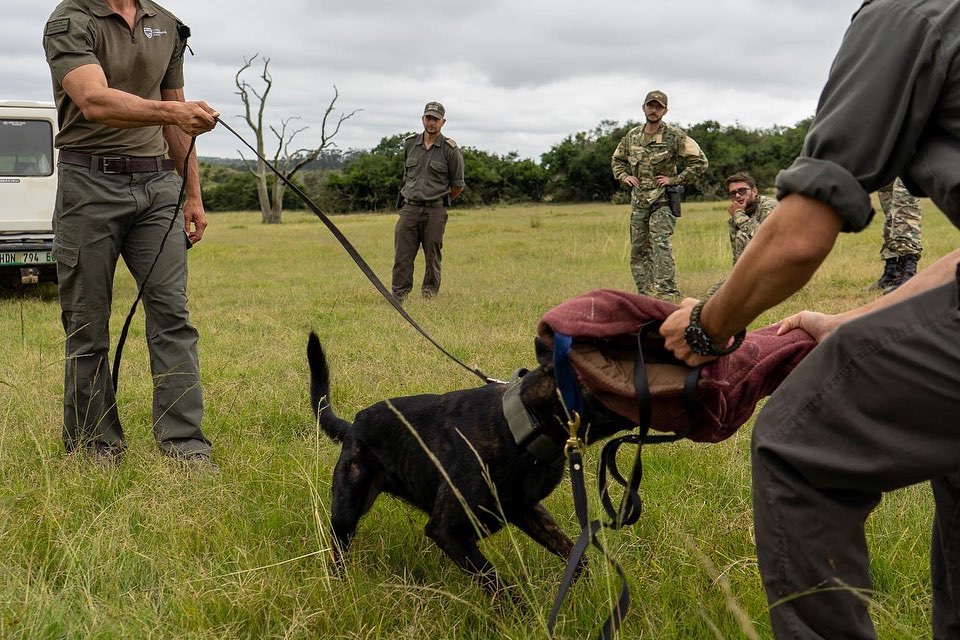5 GCF Field Instructors recently wrapped up a month of advanced training workshops in Southern Africa. 87 anti-poaching rangers from 11 private and national parks received sponsored training and equipment. Learn more: bit.ly/3ChfpDZ