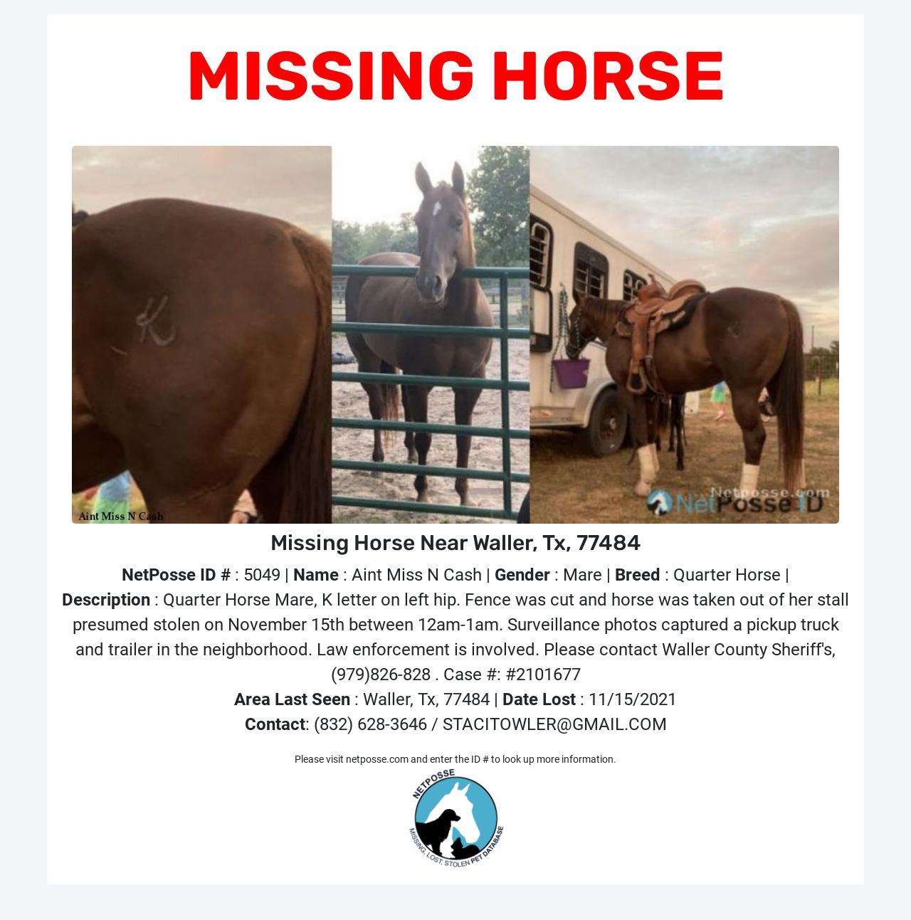 Stolen Horse on Twitter Alert