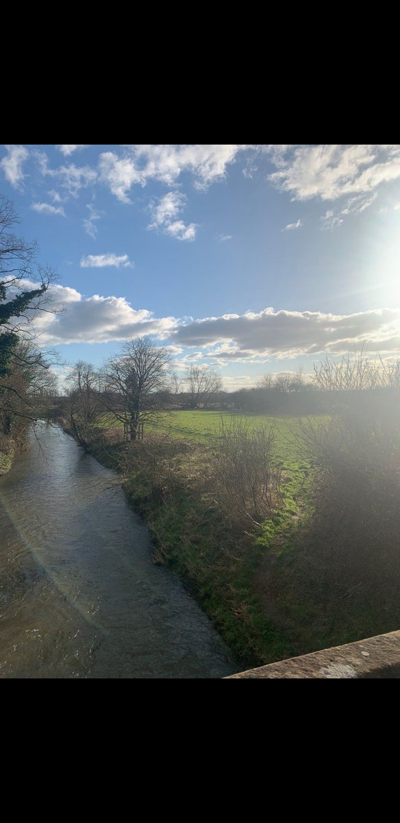 BPCA Registered tweet media