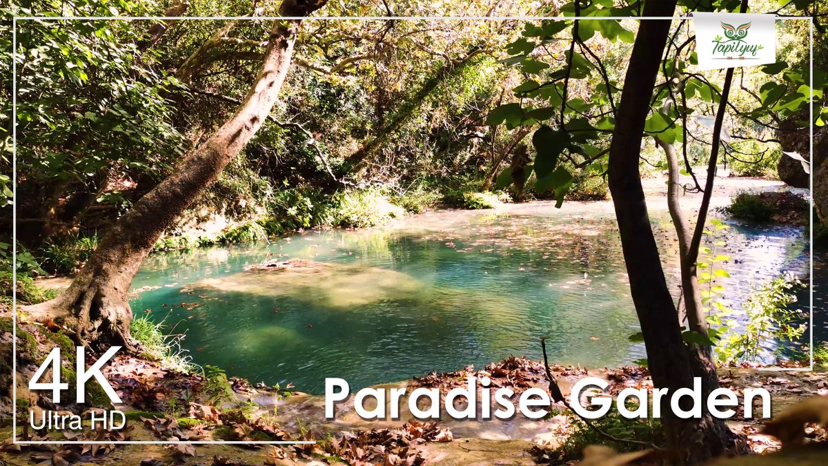 tapilyuf's tweet photo. Relaxing water sounds, lake view, paradise garden 🌱🌿☘️🌼💚 (Tapilyuf 👍)

#Naturesounds, #birdsounds, #runningwatersound,  #windsound, #rainsound, #relaxingsounds, #meditationvideo, #study, #sleepbreaks, #backgroundvideo, #4k 

https://t.co/BeFIhzyg7A https://t.co/cAzJfhh8eL