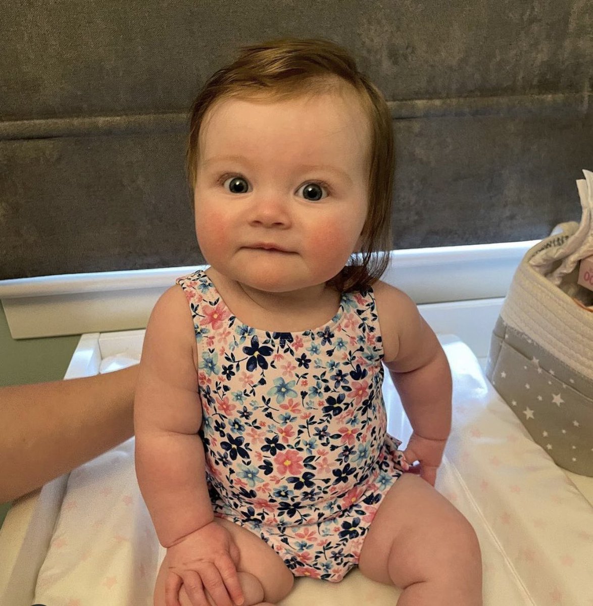 ShirleyAnnOliv2's tweet image. #valbo00 Beautiful 😍 &amp;amp; ever so adorable little Mia Valbo is growing so quickly