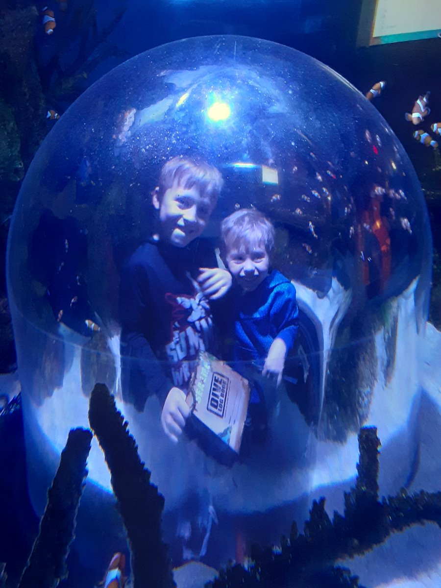 Benjamin Ditlevson tweet media