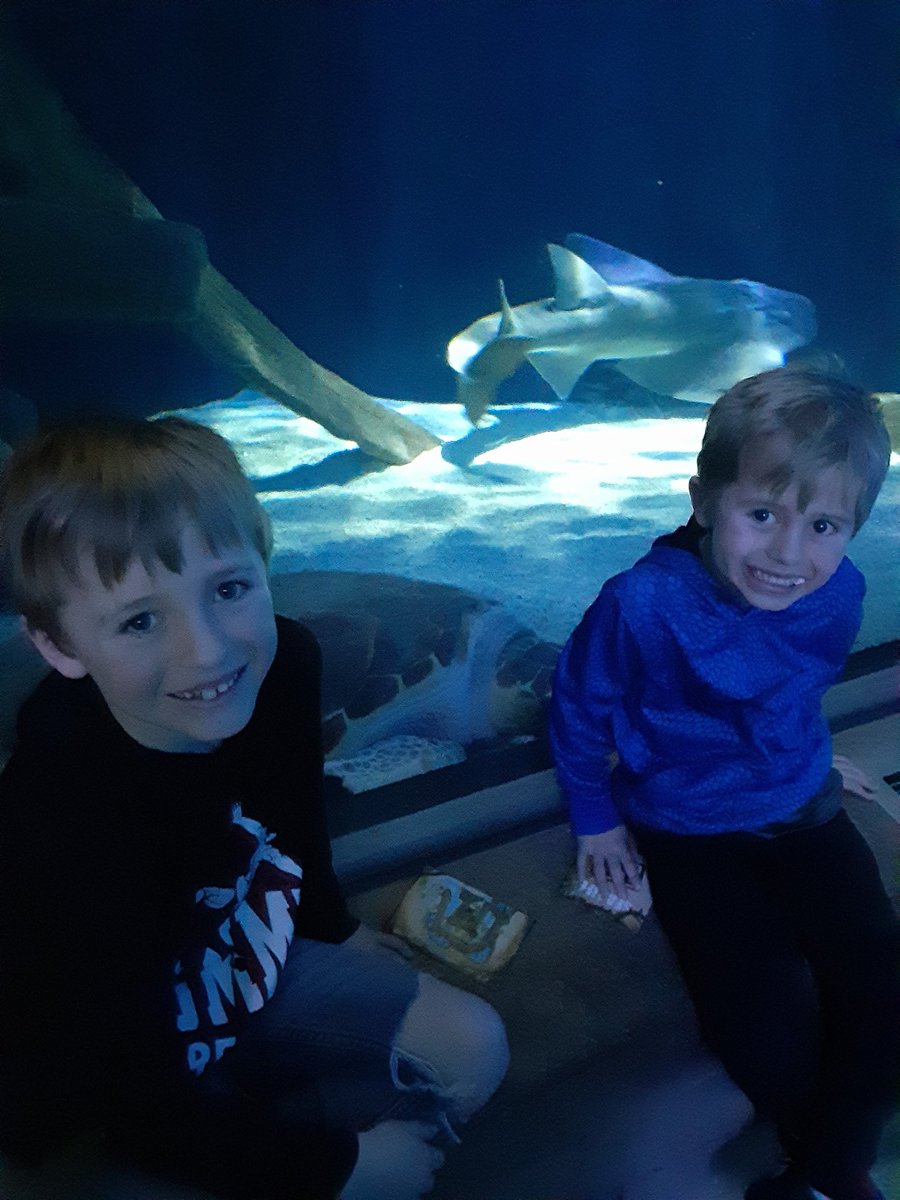 Benjamin Ditlevson tweet media