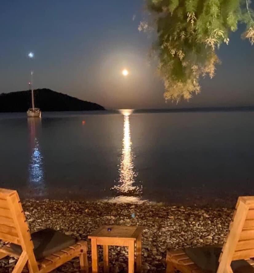 Musmutlu geceler dostlar