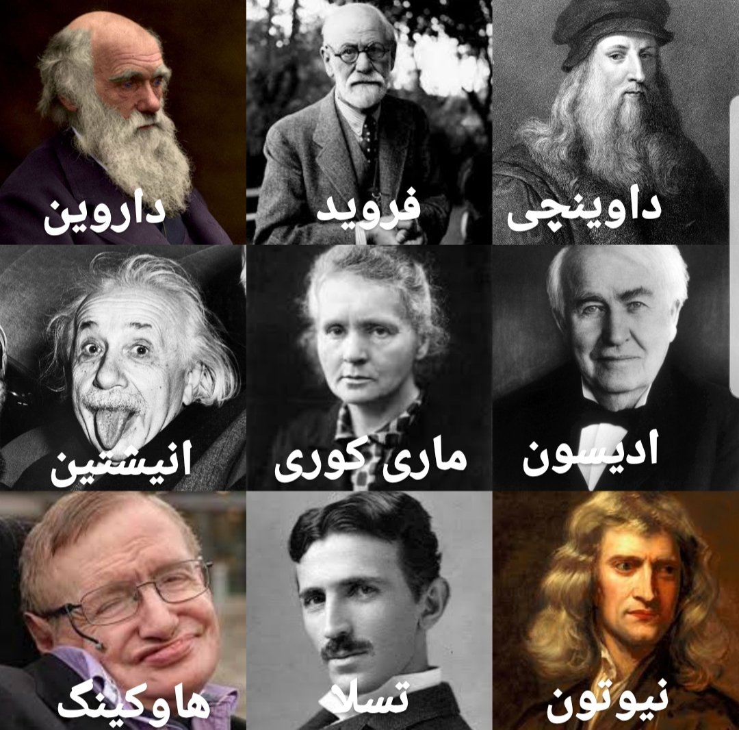 شَنتول tweet media