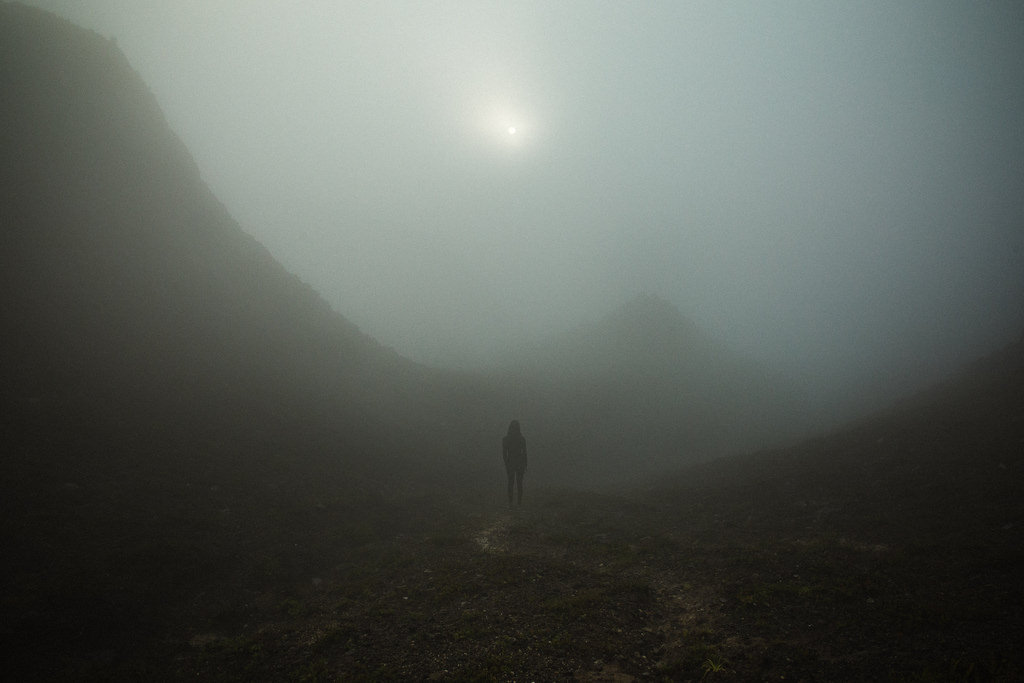 Archillect (@archillect) on Twitter photo 