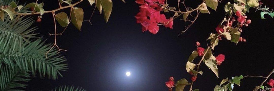 خذيت قلبي تعال وكمل الباقي
وش ينفع الجسم دام القلب بدينك

يلي غرامك تمكن دااااخل ااااعماقي
حاسب ضميرك وسدد يالغلا دينك!!
١مجنونك)